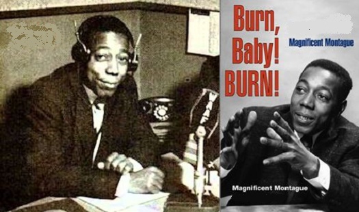 Magnificent-Montague